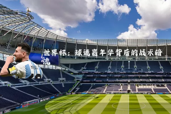 世界杯：球迷嘉年华背后的战术暗流